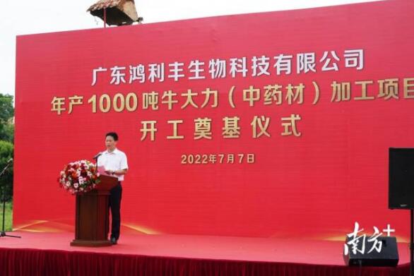 年產(chǎn)1000噸！牛大力（中藥材）加工項目在興寧開工奠基